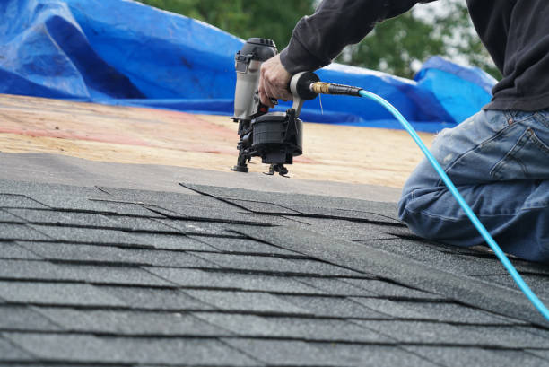 Professional Roofing Contractor in Columbia Falls, MT