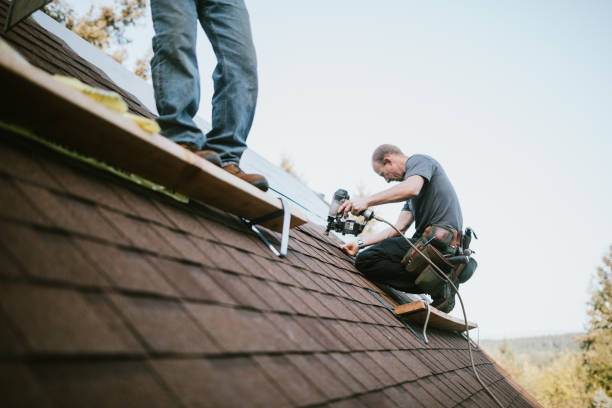 Best New Roof Installation  in Columbia Falls, MT