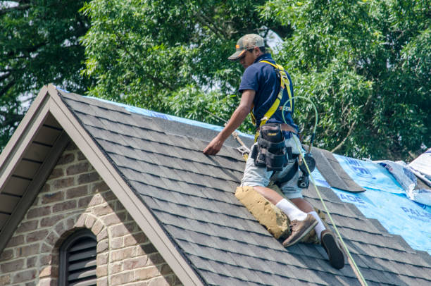 Best Residential Roofing Contractor  in Columbia Falls, MT